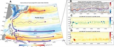 Spatial-temporal variations of short-lived mesoscale eddies and their environmental effects